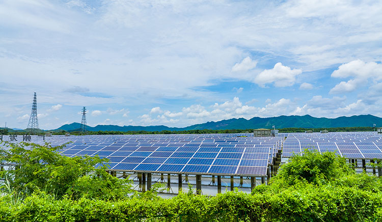 Complex terrain التضاريس المعقدة