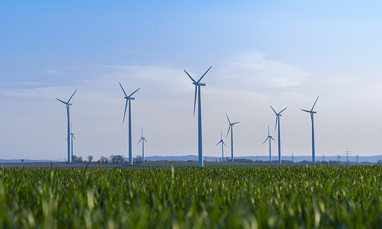 Join us in the journey towards a greener, cleaner world 7 - انضم إلينا في الرحلة نحو عالم أكثر خضرة ونظافة.