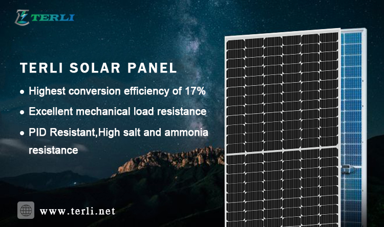 文章开头 文章开头