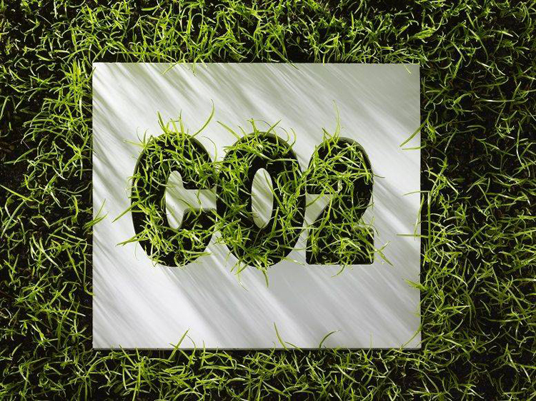 Carbon asset الأصول الكربونية