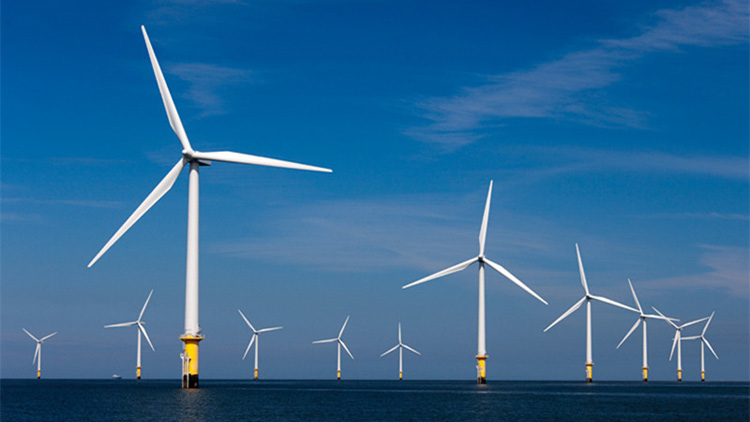 Renewable energy demand soars in Europe الطلب على الطاقة المتجددة يرتفع في أوروبا