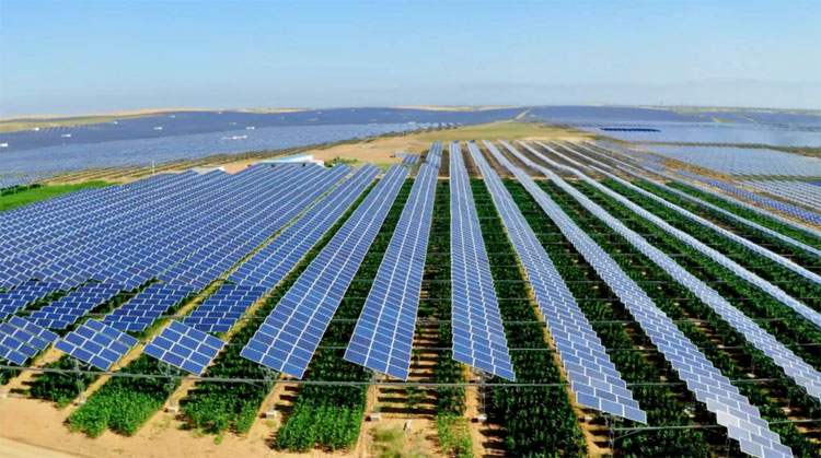 Lighting conditions ظروف الإضاءة