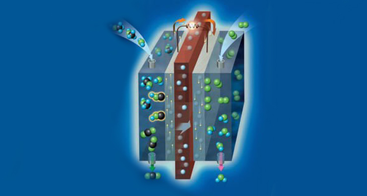 Hydrogen fuel cell خلية وقود الهيدروجين