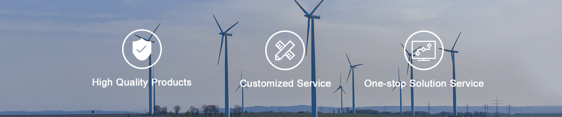 خدمة تيرلي المخصصة