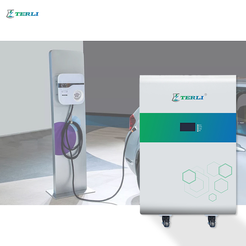 حزمة طاقة احترافية مخصصة 51.2 فولت 200 أمبير 10 كيلو وات بطارية ليثيوم