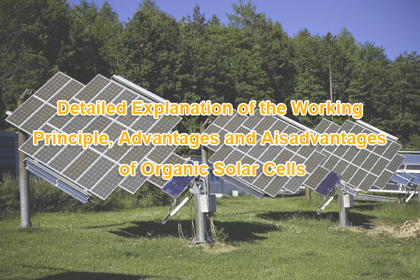 شرح مفصل لمبدأ العمل ومزايا وعيوب الخلايا الشمسية العضوية