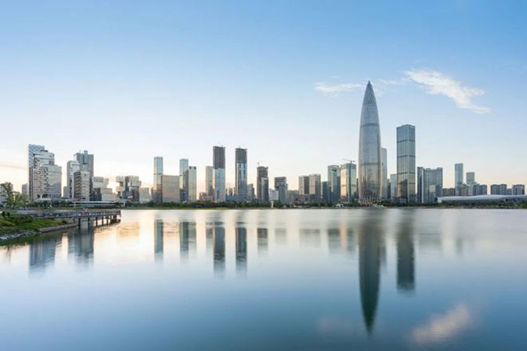 صناعة تخزين الطاقة الكهروكيميائية العالمية