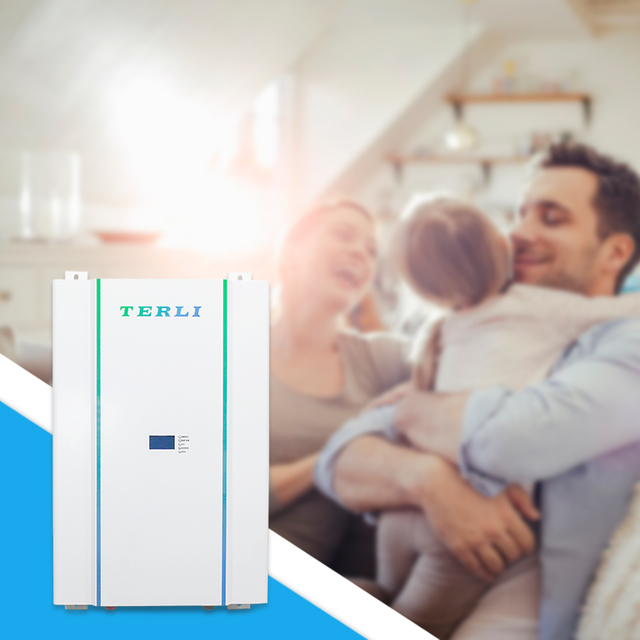 5kWh 100ah Lifepo4 LiFePO4 Powerwall عالي الجودة للمنزل