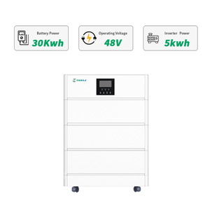 Terli All In One 30kwh Systems Lithium Lifepo4 Power Storage