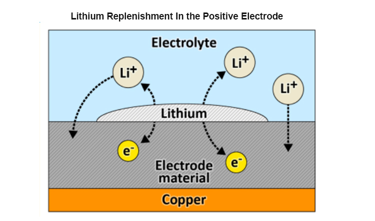 الليثيوم العظام