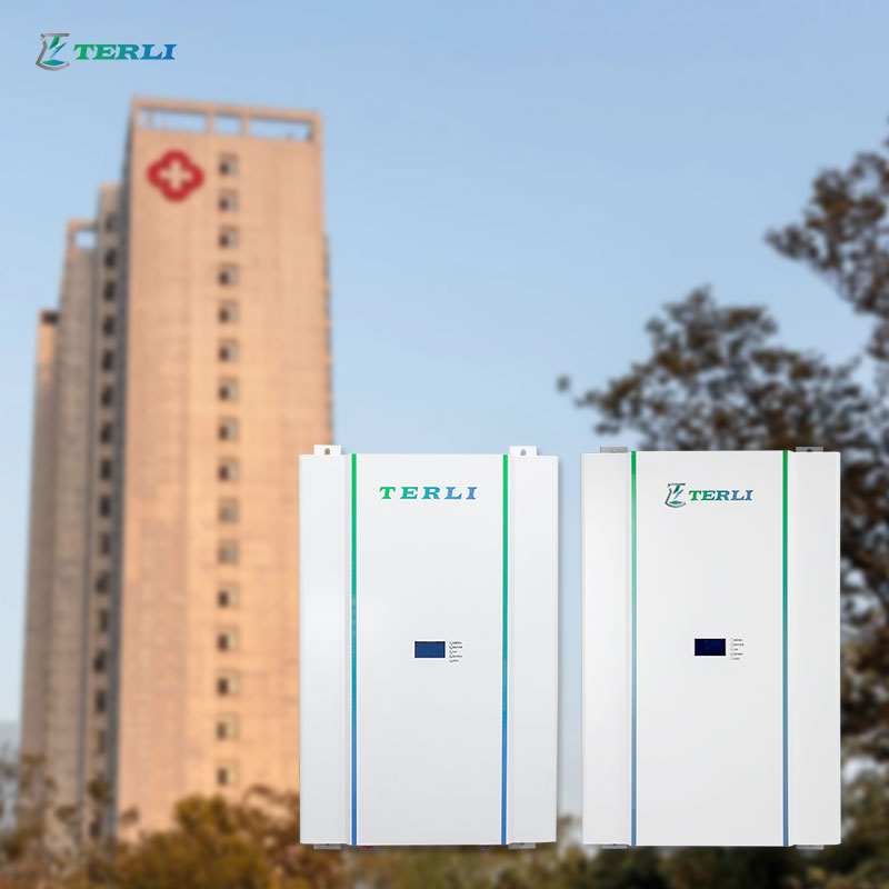 عمر طويل OEM بطارية ليثيوم 24 فولت 48 فولت