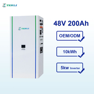 سعر الجملة الكل في واحد بطارية Powerwall Terli 48V