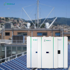 LFP مخصص 24 فولت 48 فولت بطارية ليثيوم