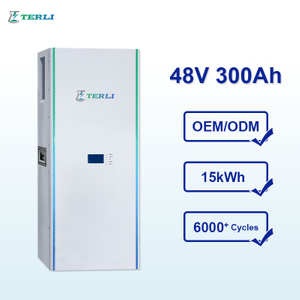 Terli بطارية ليثيوم أيون LiFePO4 48V 300Ah بطاريات طاقة الليثيوم القابلة لإعادة الشحن