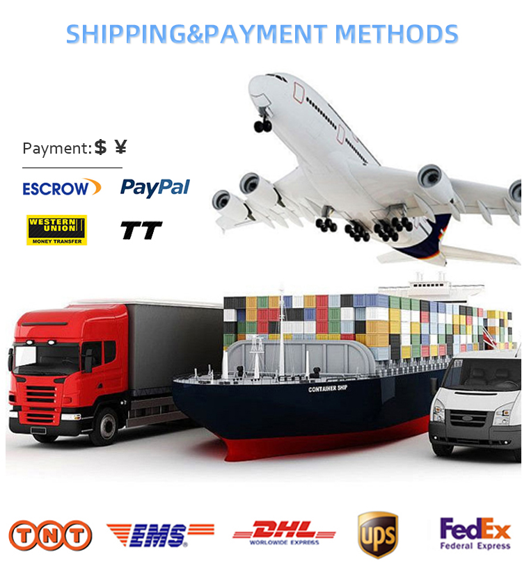 الشحن والدفع