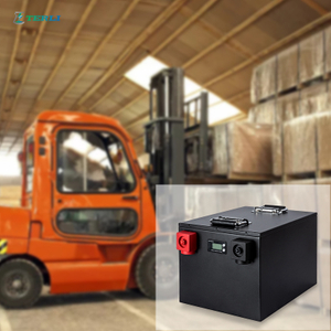 سيارة سياحية ببطارية ليثيوم 24 فولت قابلة لإعادة الشحن OEM