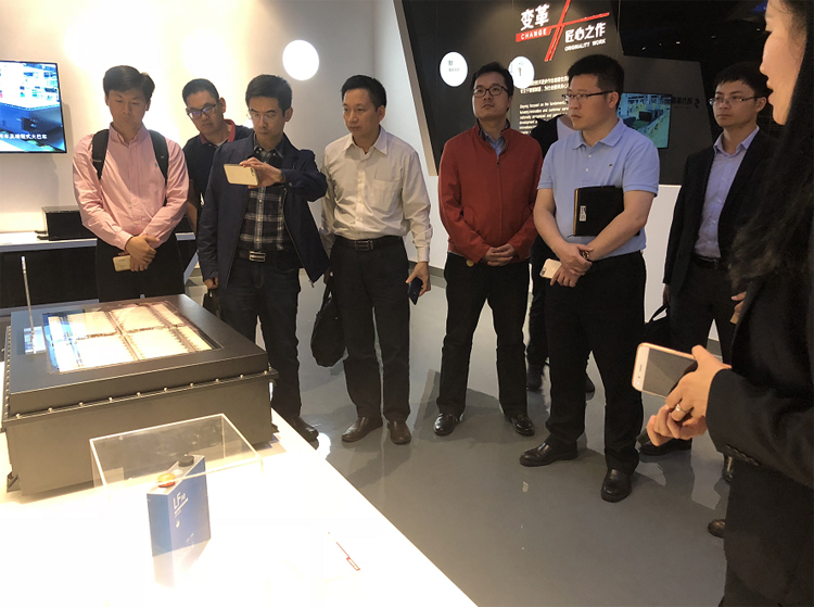 مجالات تخزين الطاقة المحلية والأجنبية