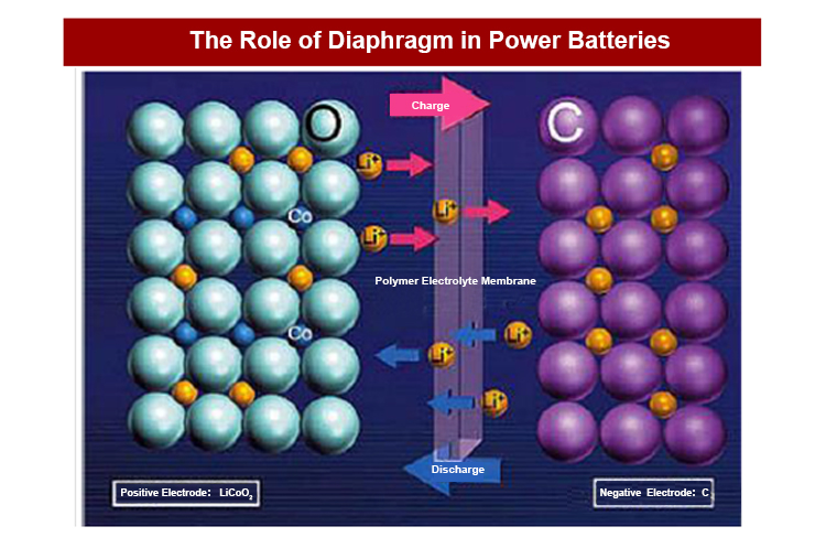 الحجاب الحاجز