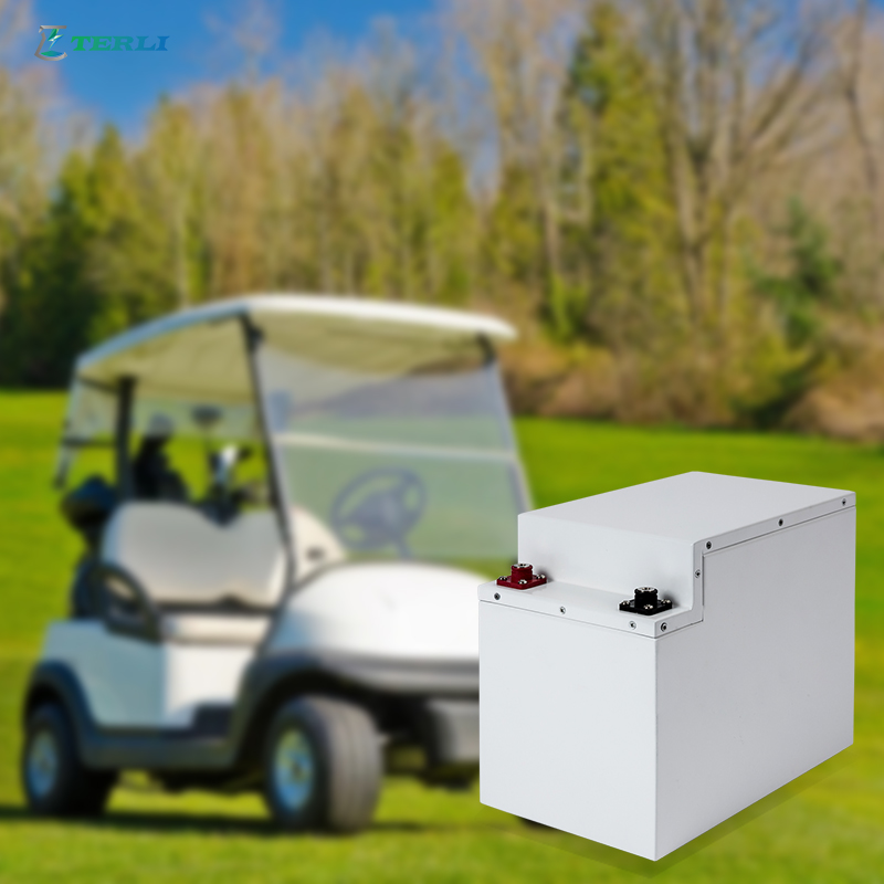 بطارية ليثيوم 12 فولت مخصصة قابلة للشحن EV/Agv