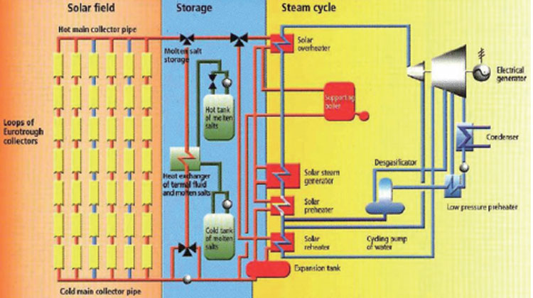 سلامة البيئة