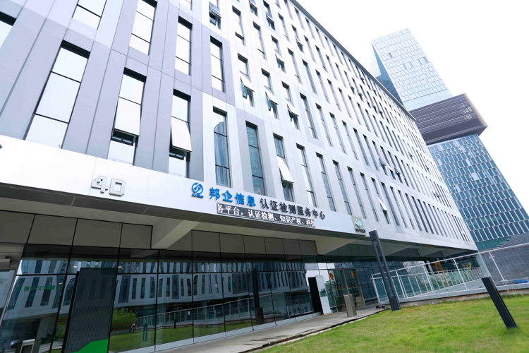 وكالات الدعم والمجالات الرئيسية