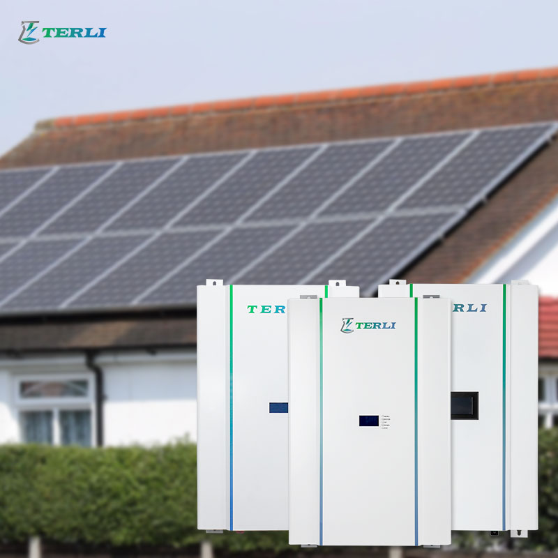 عمر طويل OEM بطارية ليثيوم 24 فولت 48 فولت