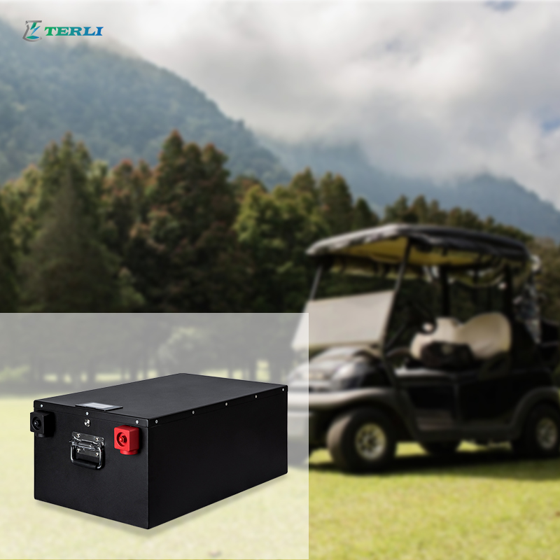 وحدة بطارية ليثيوم حديد 48 فولت للنظام الشمسي