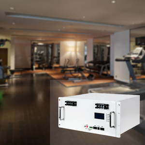 حزمة طاقة احترافية مخصصة مع دورة حياة طويلة